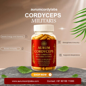 Cordyceps militaris a potent medicinal fungus, boasts immune-boosting properties.