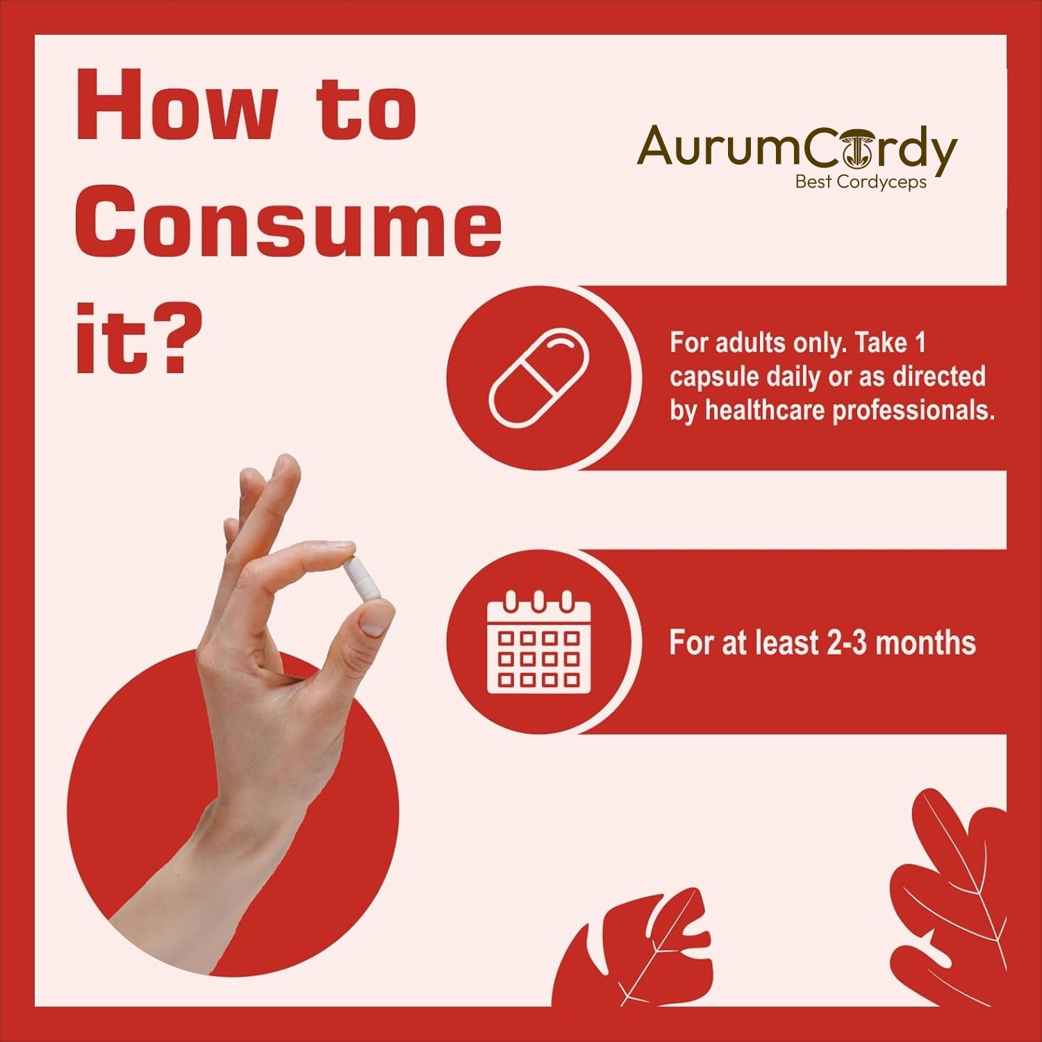 This apoptogenic superfood supports energy, endurance, and respiratory health. - Image 6