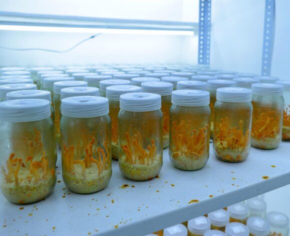 WhatsApp Image 2025-05-28 at 9.58.54 PM (1)