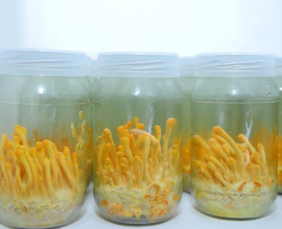 WhatsApp Image 2025-05-28 at 9.59.00 PM